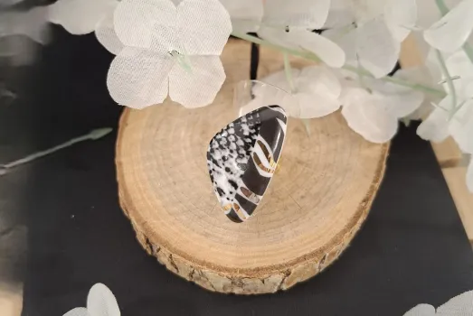 BAGUE ATOME