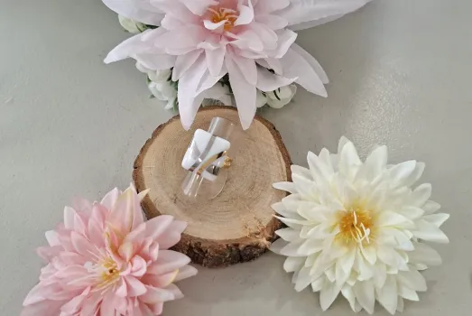 BAGUE(séries limitées)